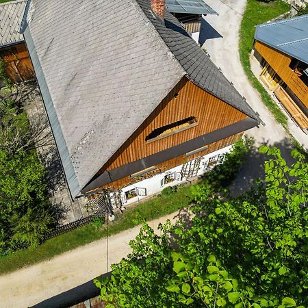 House, Garden And A Green Cat Bled Esterno foto