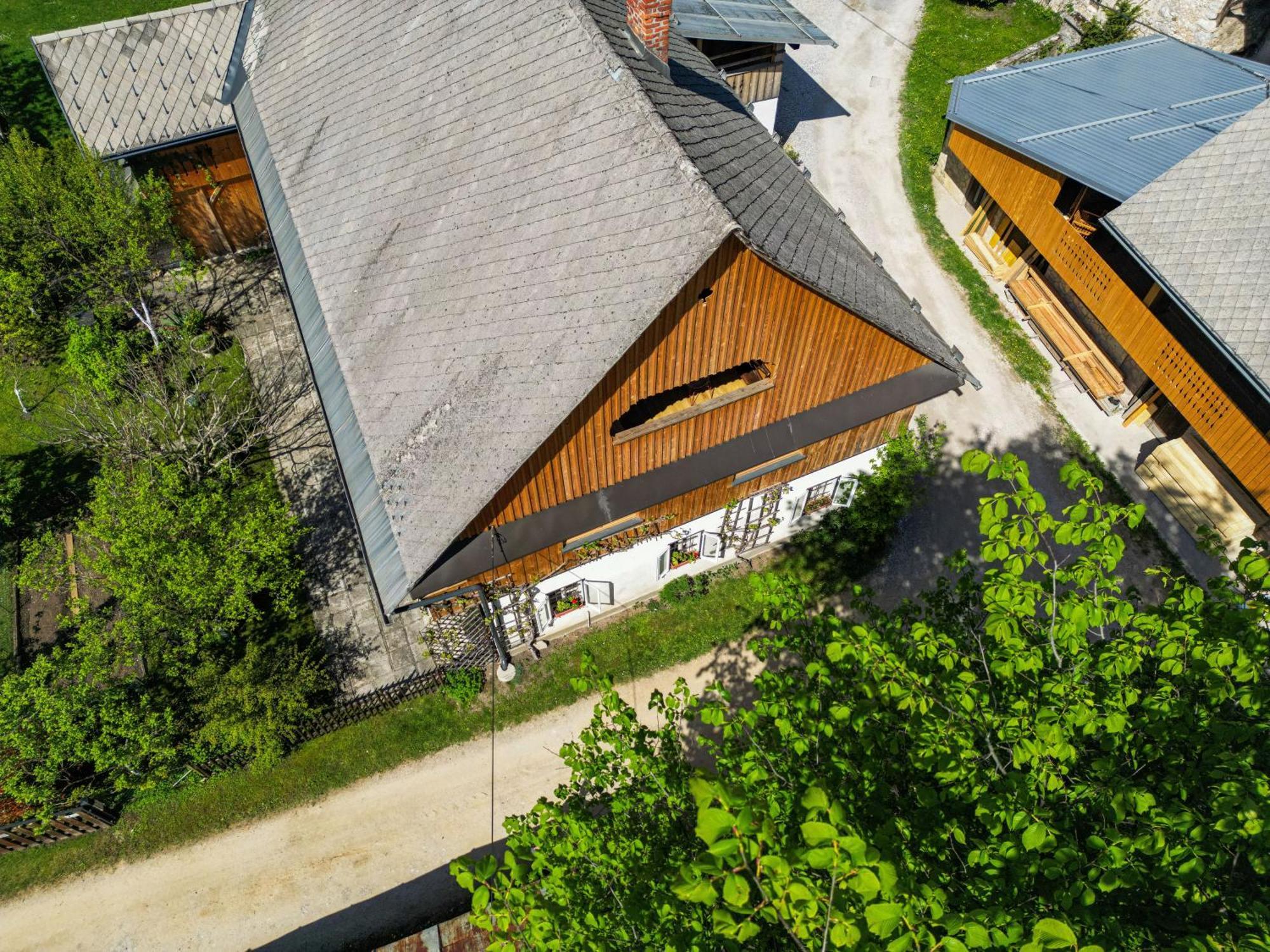 House, Garden And A Green Cat Bled Esterno foto