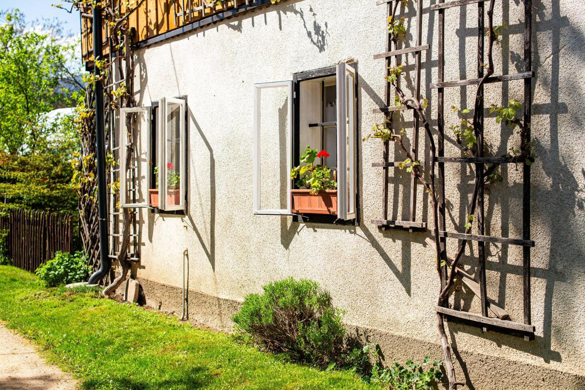 House, Garden And A Green Cat Bled Esterno foto
