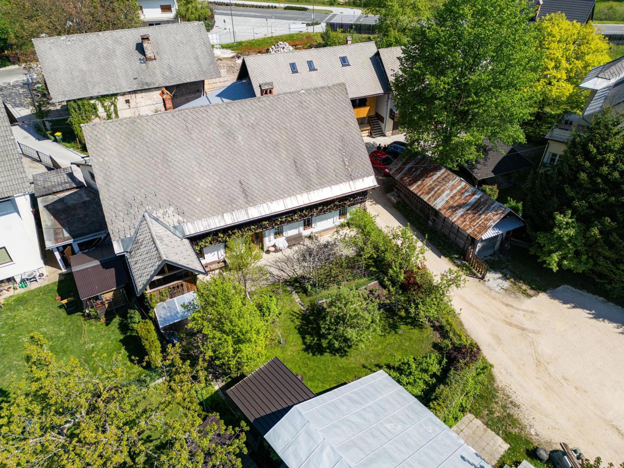 House, Garden And A Green Cat Bled Esterno foto