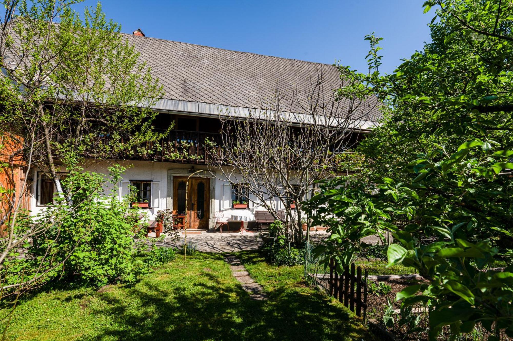 House, Garden And A Green Cat Bled Esterno foto
