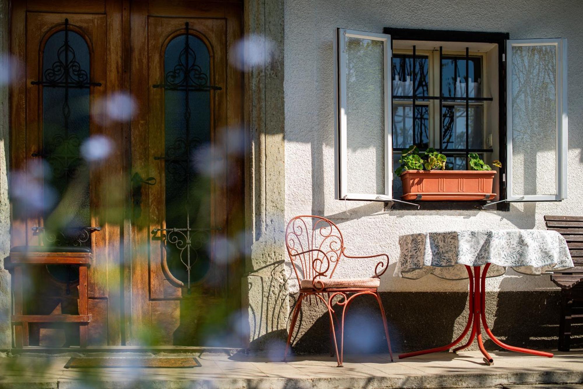 House, Garden And A Green Cat Bled Esterno foto