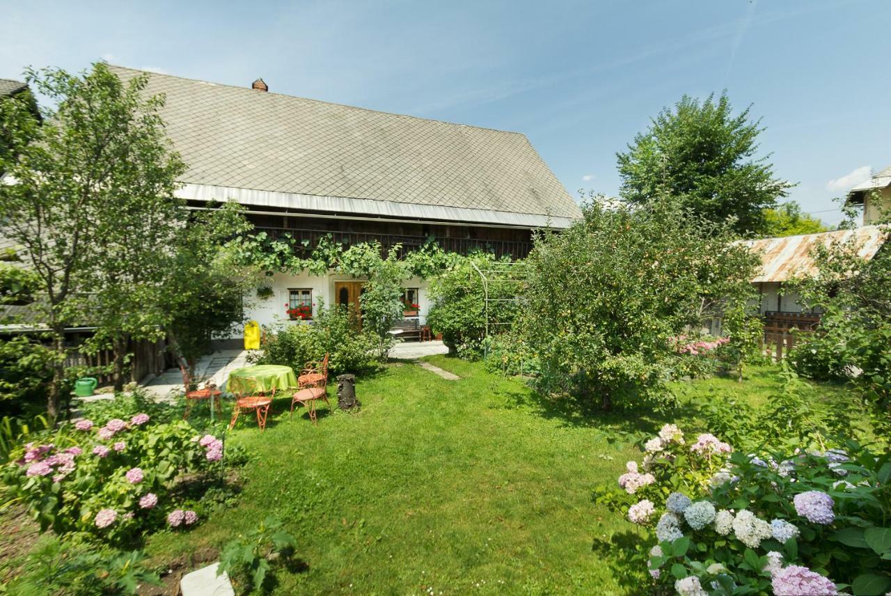 House, Garden And A Green Cat Bled Esterno foto