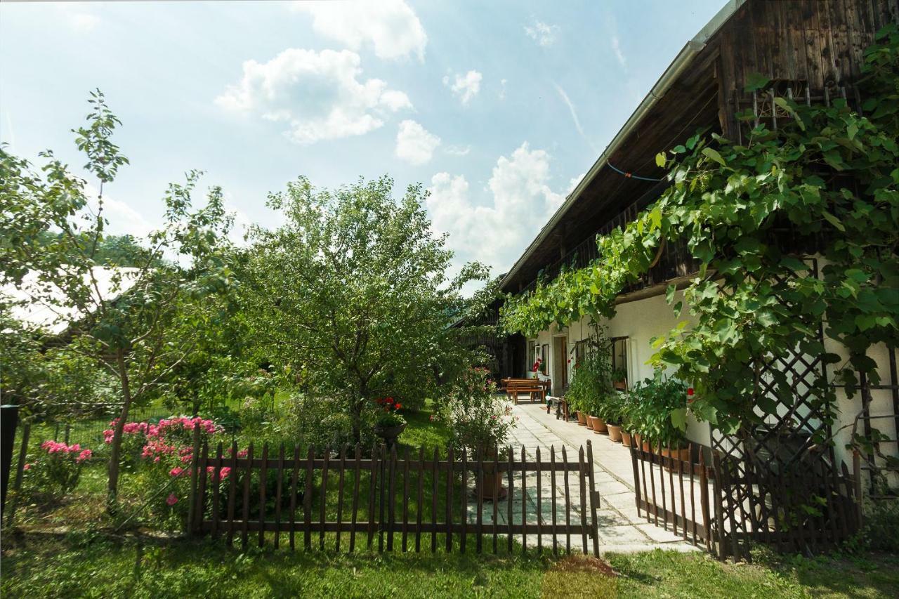 House, Garden And A Green Cat Bled Esterno foto